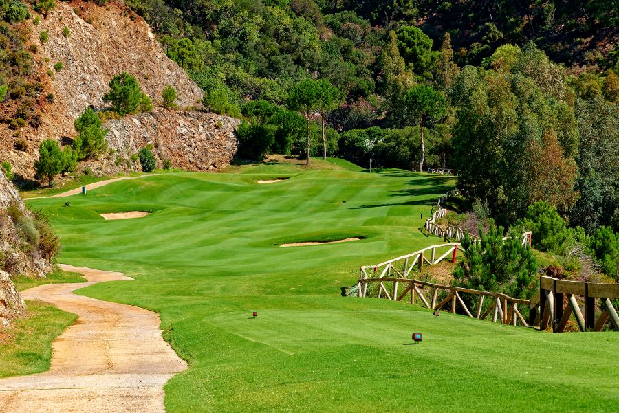 Trees behind the green at Zagaleta New Course near Marbella