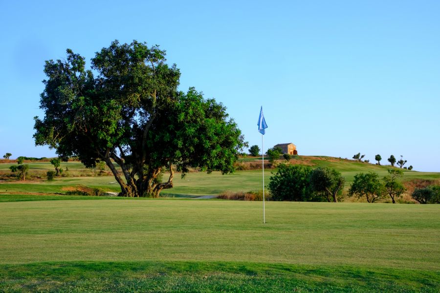 Tree behind the flag on the putting green at Pestana Ferragudo