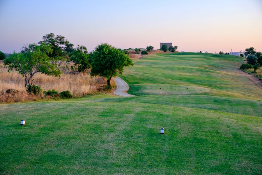 Tree on the left hand side of the fairway at Pestana Ferragudo